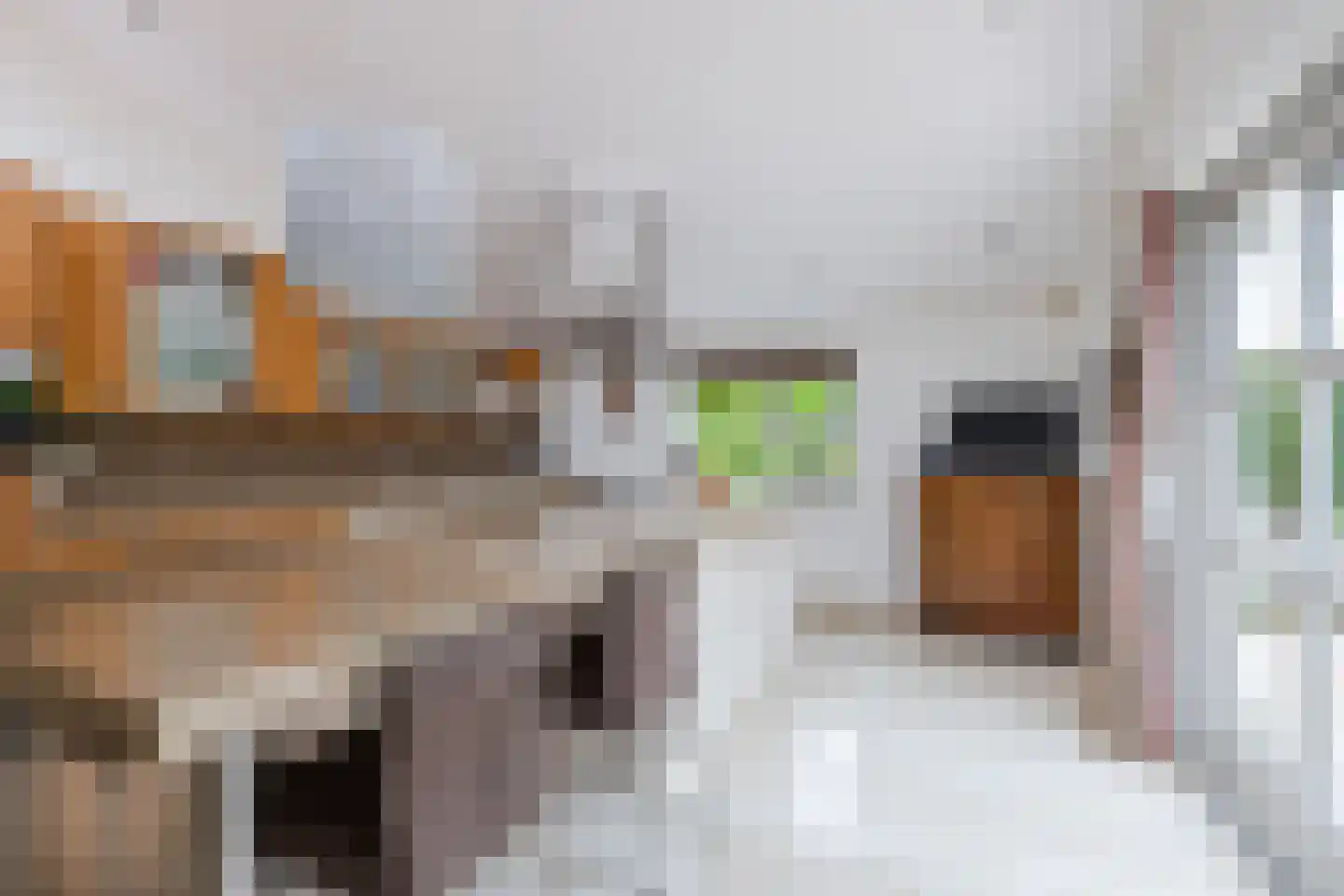 Fivelgolaan 16 Groningen thumbnail 4
