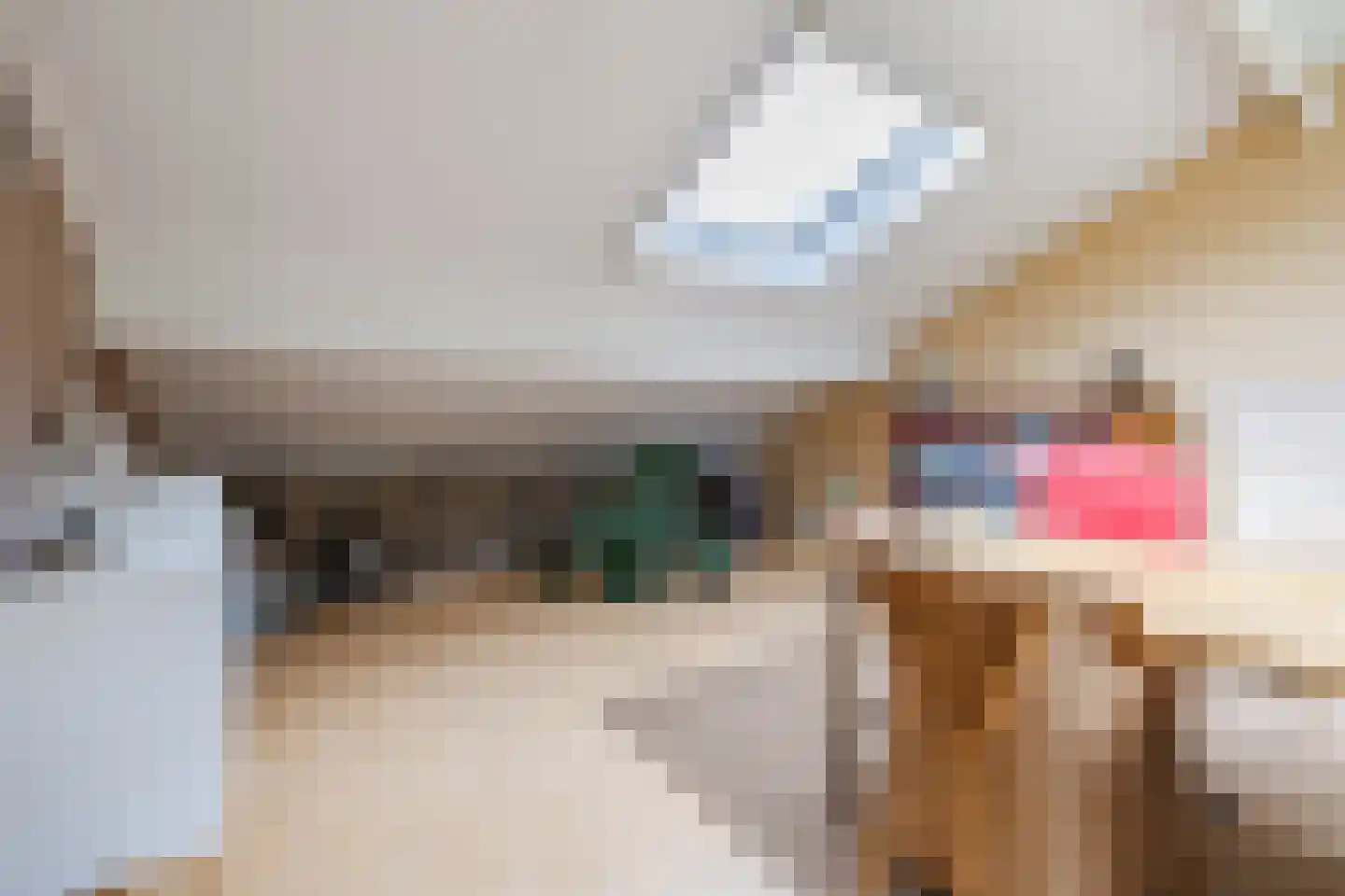 Fivelgolaan 16 Groningen thumbnail 48