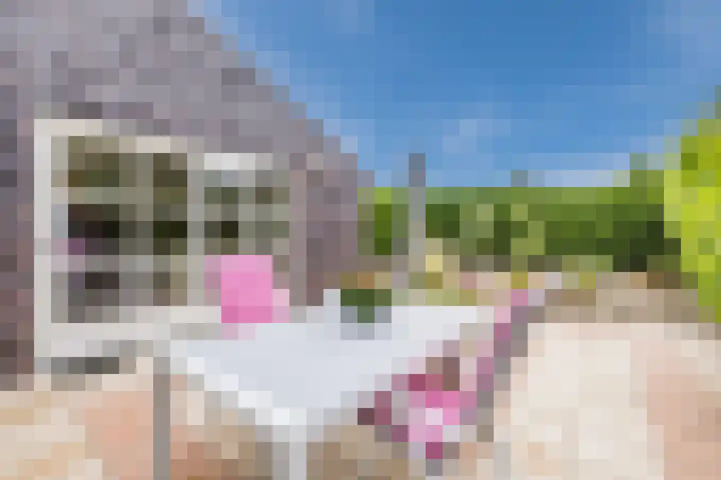 Fivelgolaan 16 Groningen thumbnail 51