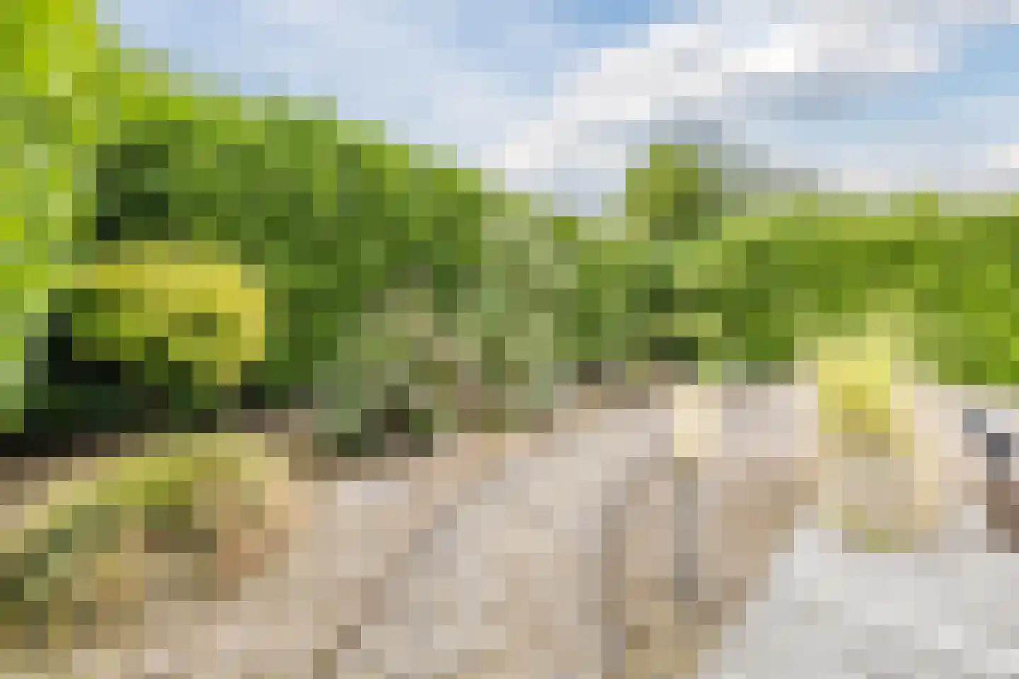 Fivelgolaan 16 Groningen thumbnail 60