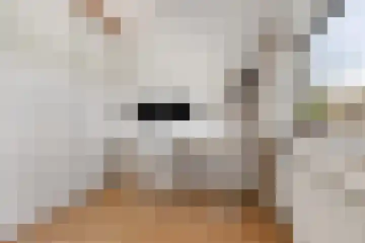 Fivelgolaan 5 Groningen thumbnail 37