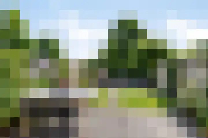 Fivelgolaan 5 Groningen thumbnail 4