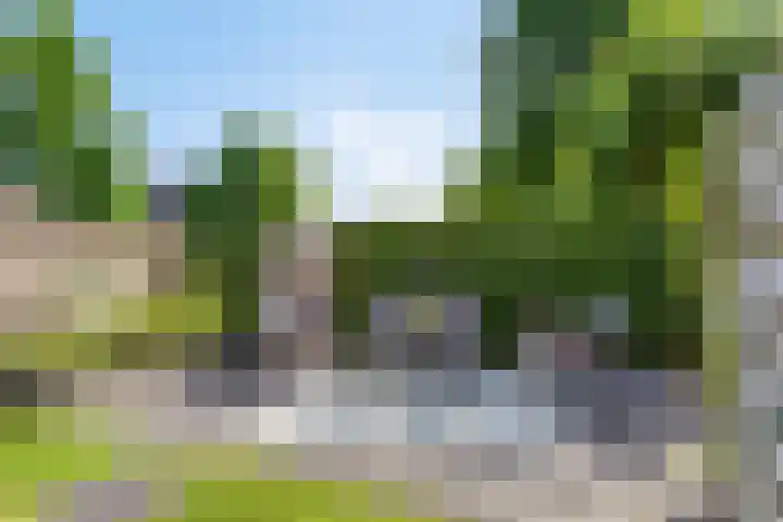 Fivelgolaan 5 Groningen thumbnail 41