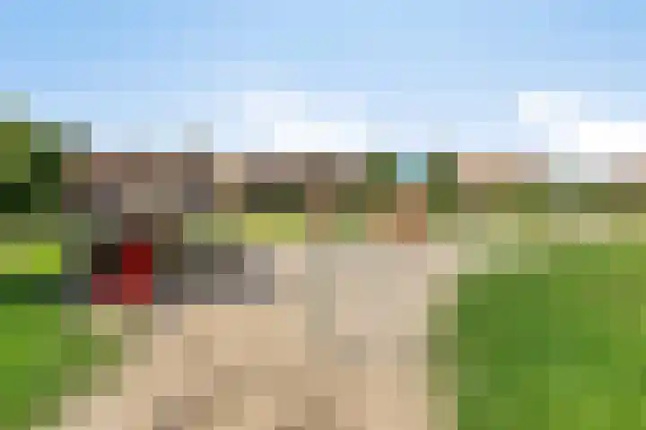 Fivelgolaan 5 Groningen thumbnail 44