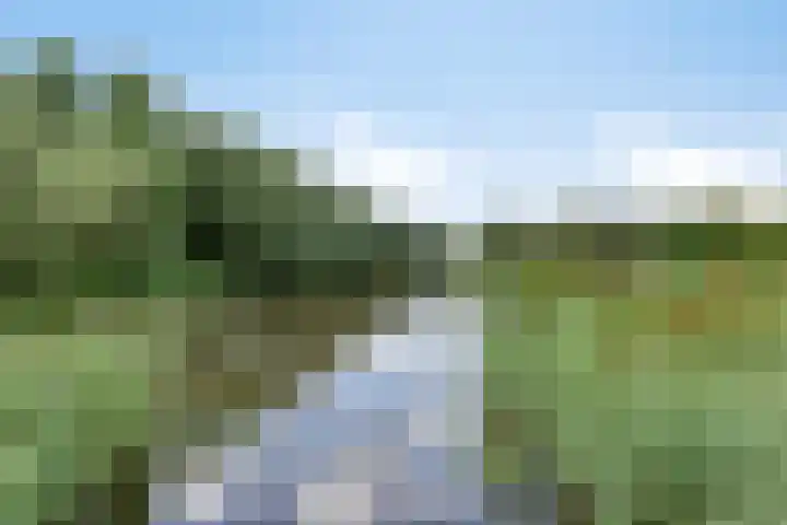 Fivelgolaan 5 Groningen thumbnail 45