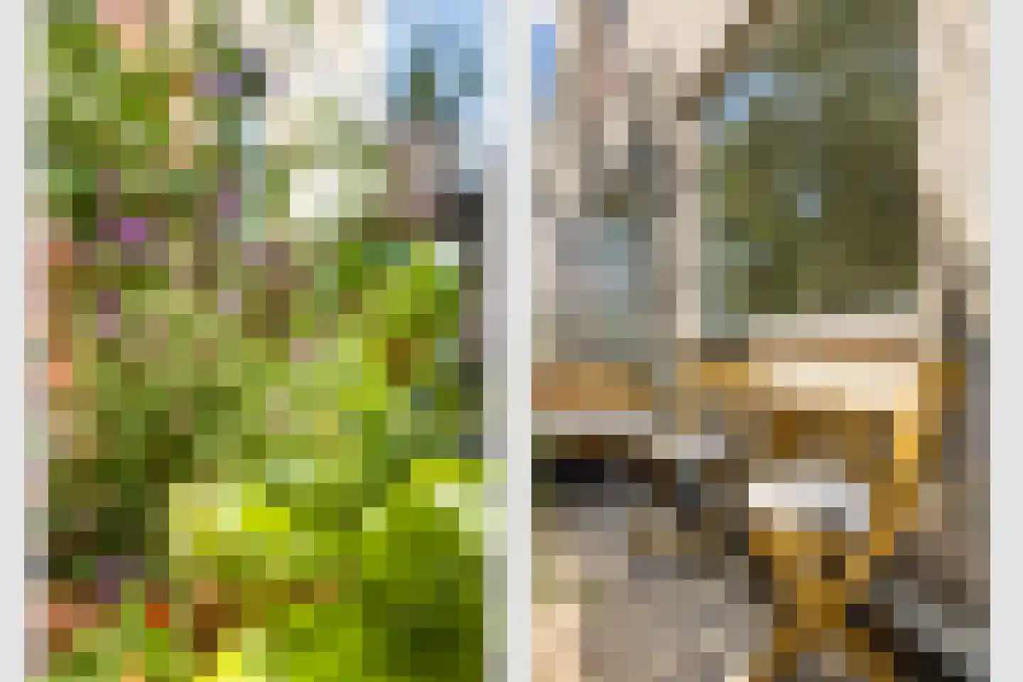 Fivelingo 115 Utrecht thumbnail 11