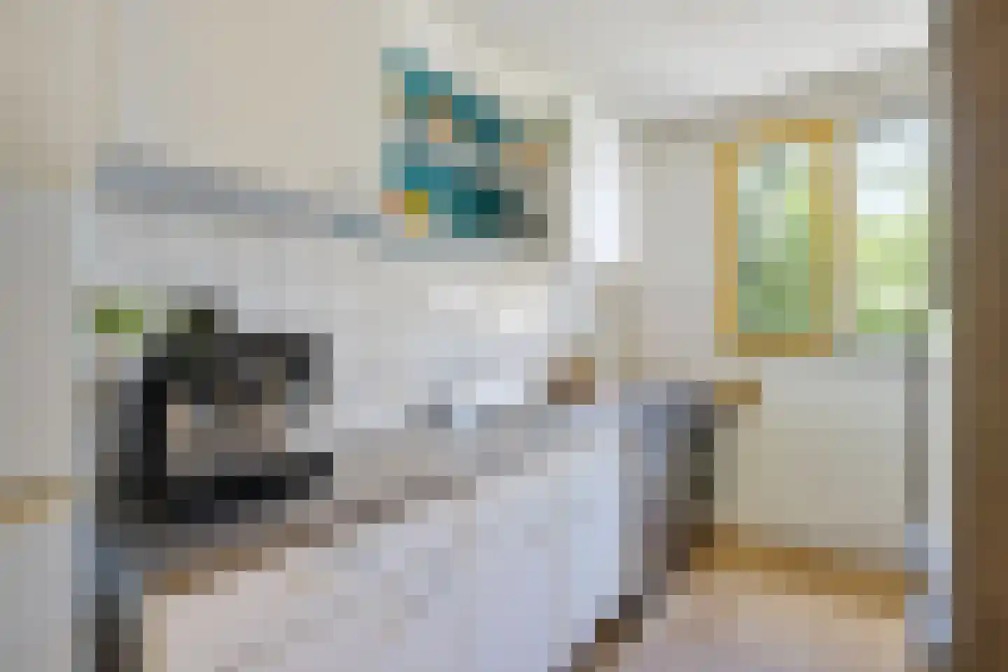 Fivelingo 115 Utrecht thumbnail 15