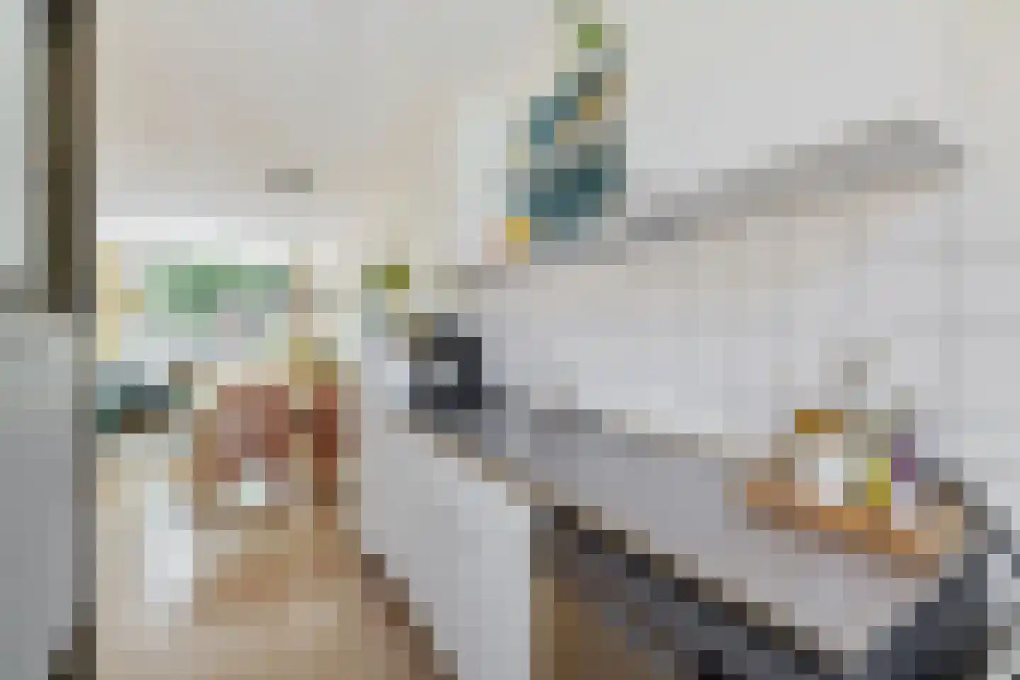 Fivelingo 115 Utrecht thumbnail 16