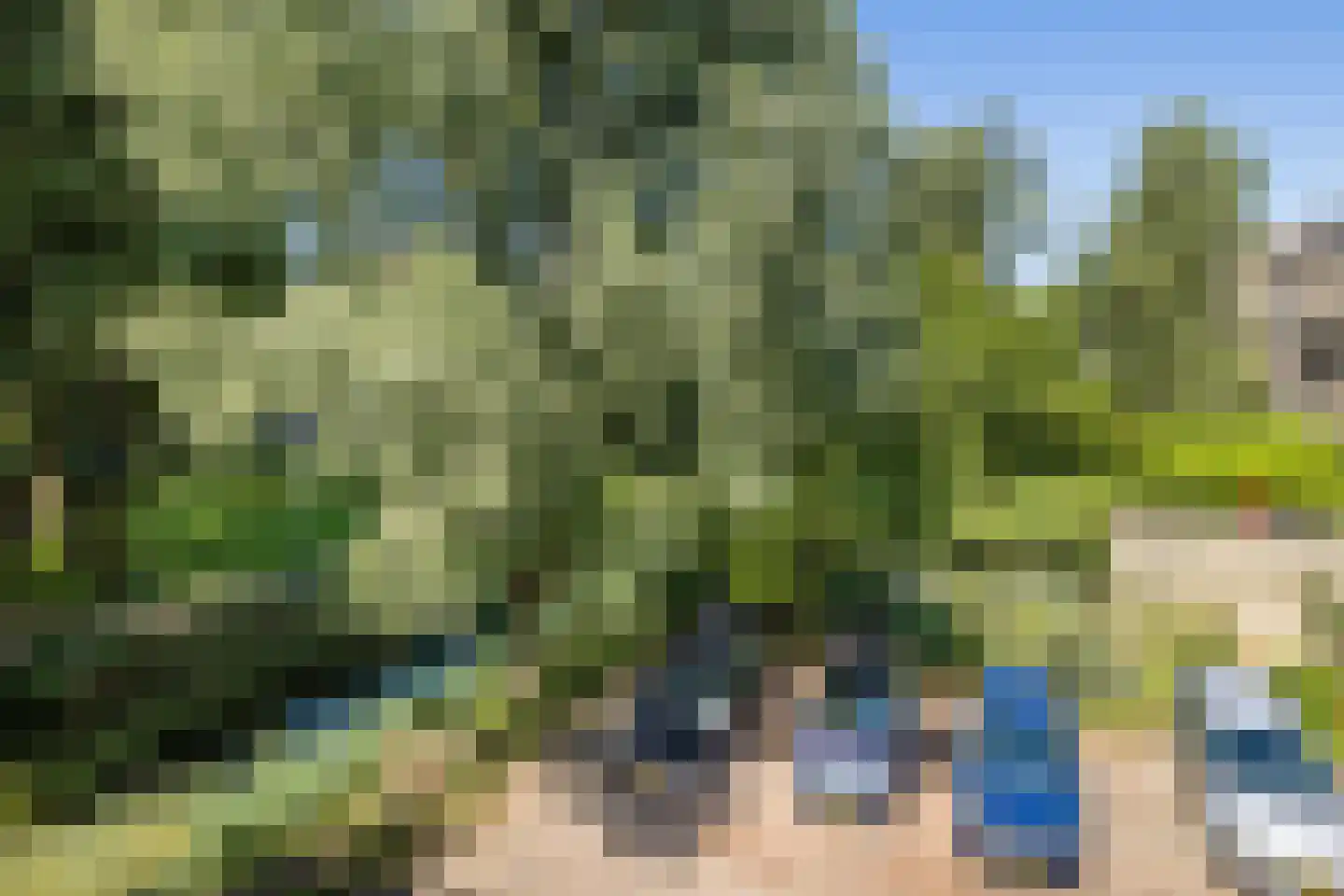 Fivelingo 115 Utrecht thumbnail 19