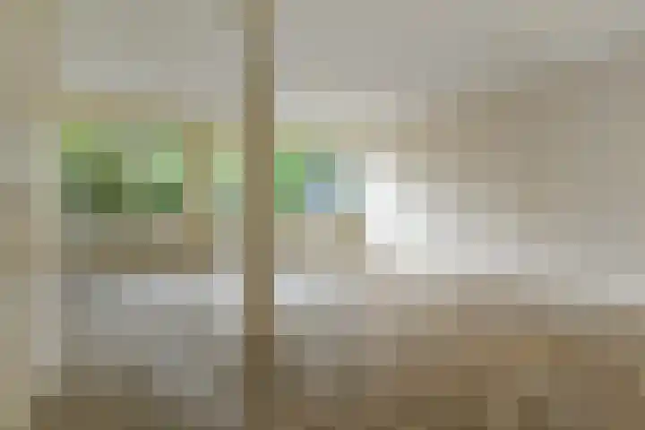 Fivelingo 120 Zoetermeer thumbnail 13
