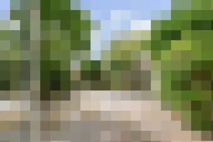 Fivelingo 120 Zoetermeer thumbnail 16