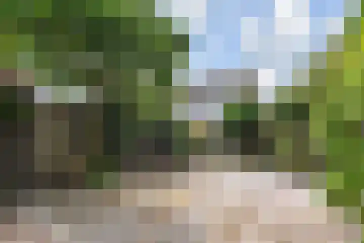 Fivelingo 120 Zoetermeer thumbnail 19