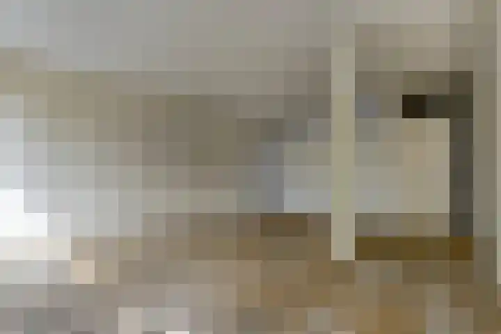 Fivelingo 120 Zoetermeer thumbnail 21