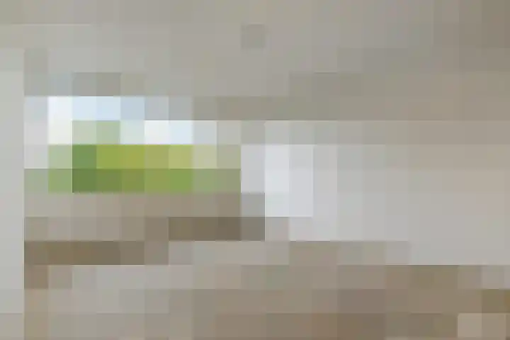 Fivelingo 120 Zoetermeer thumbnail 35