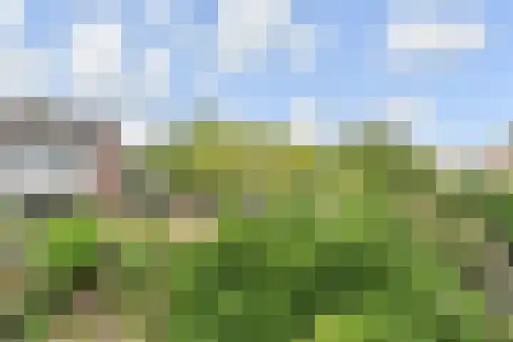 Fivelingo 120 Zoetermeer thumbnail 36
