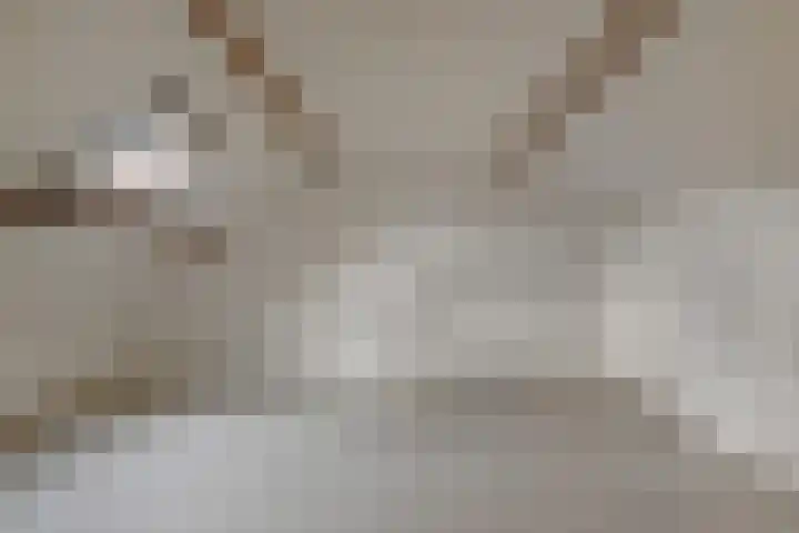 Fivelingo 120 Zoetermeer thumbnail 44