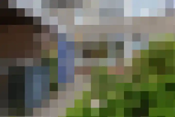 Fivelingo 120 Zoetermeer thumbnail 8