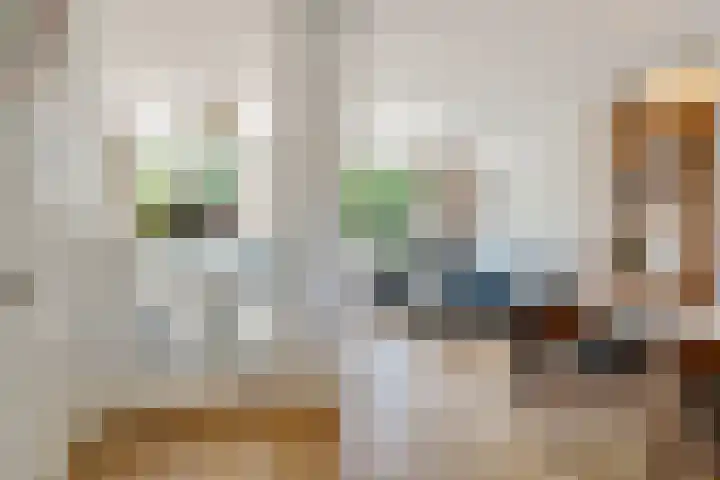 Fivelingo 124 Zoetermeer thumbnail 13