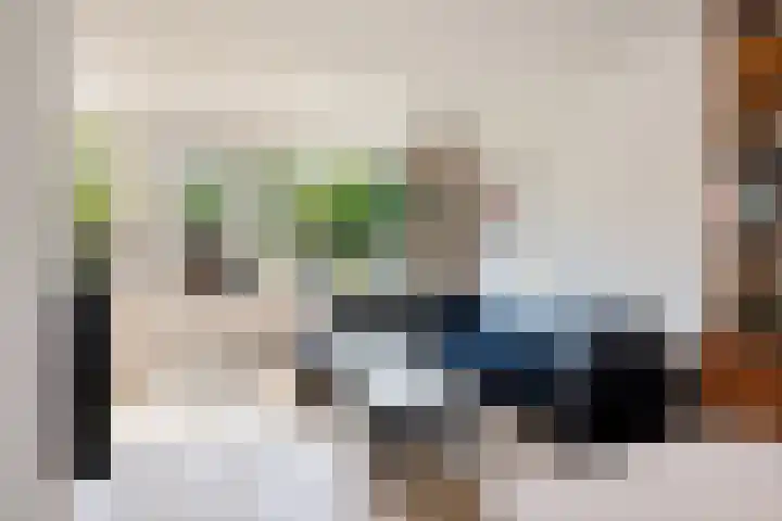 Fivelingo 124 Zoetermeer thumbnail 19