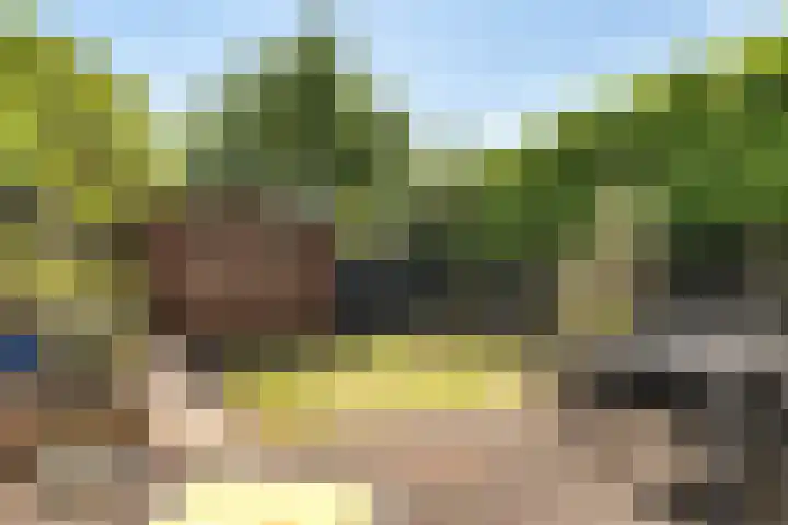 Fivelingo 124 Zoetermeer thumbnail 26