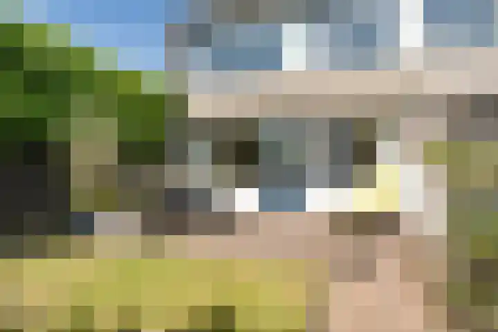 Fivelingo 124 Zoetermeer thumbnail 27
