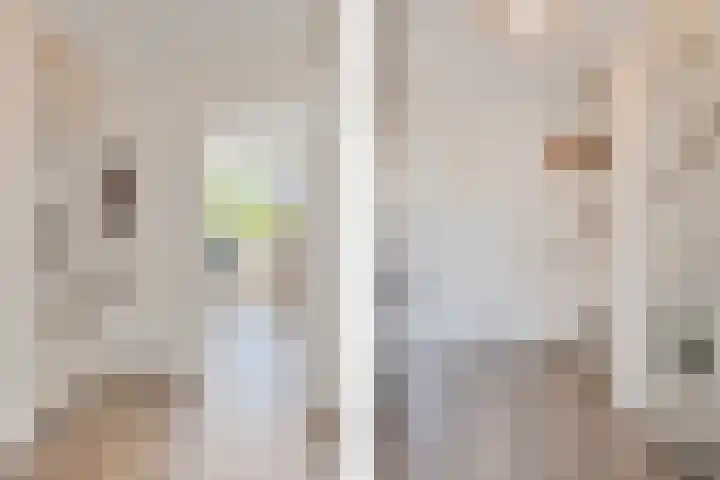 Fivelingo 124 Zoetermeer thumbnail 29