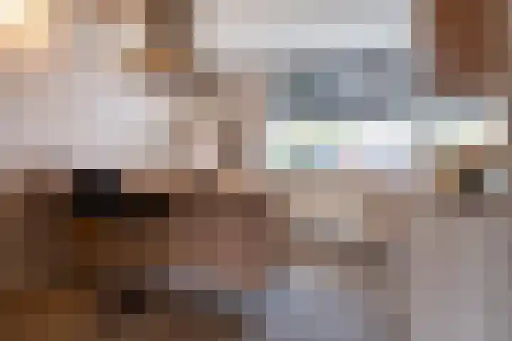 Fivelingo 124 Zoetermeer thumbnail 32