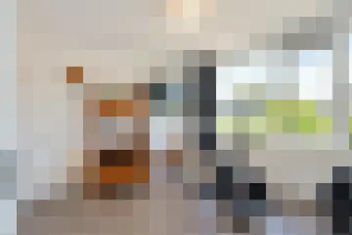 Fivelingo 124 Zoetermeer thumbnail 38