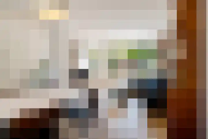 Fivelingo 124 Zoetermeer thumbnail 4