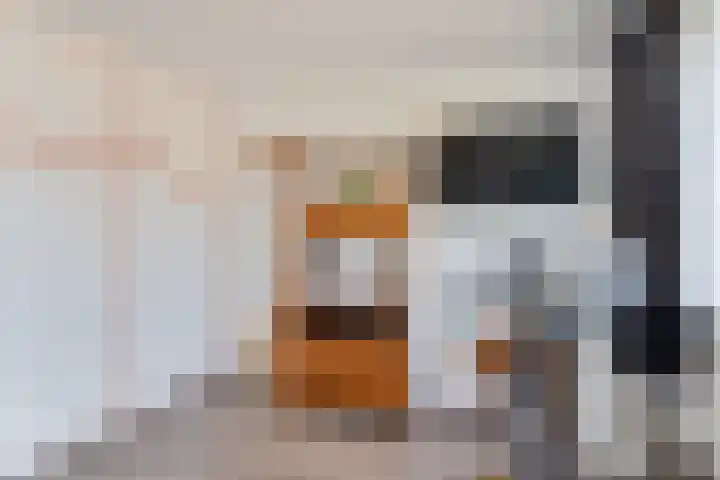 Fivelingo 124 Zoetermeer thumbnail 40