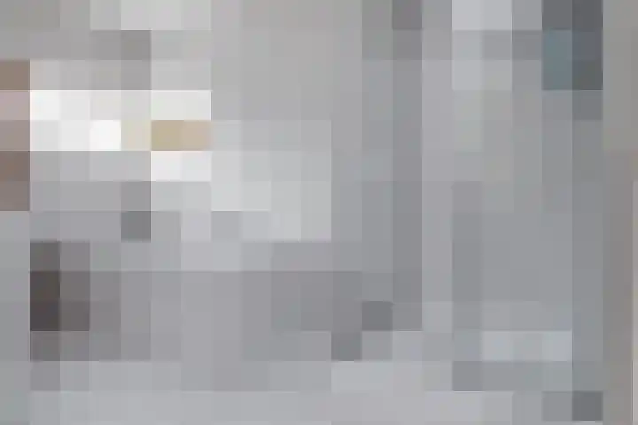 Fivelingo 124 Zoetermeer thumbnail 46