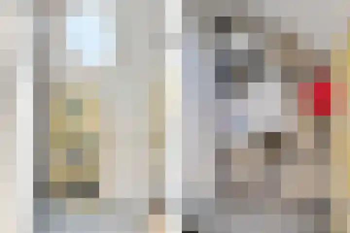 Fivelingo 124 Zoetermeer thumbnail 48