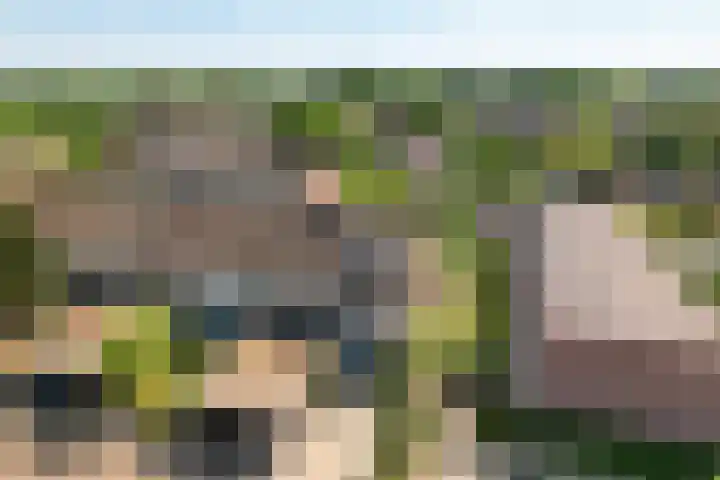 Fivelingo 124 Zoetermeer thumbnail 49