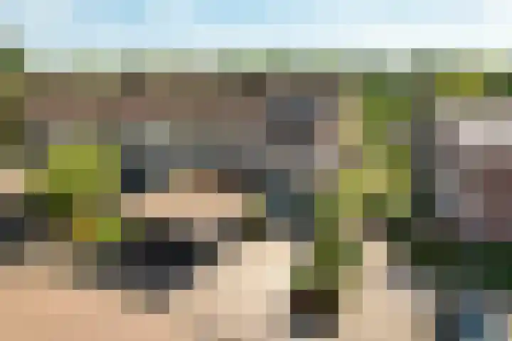 Fivelingo 124 Zoetermeer thumbnail 5