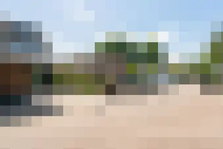 Fivelingo 124 Zoetermeer thumbnail 51