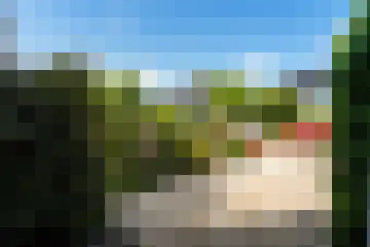 Fivelingo 124 Zoetermeer thumbnail 6