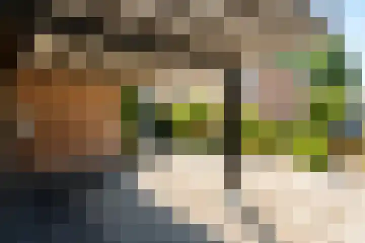Fivelingo 124 Zoetermeer thumbnail 7