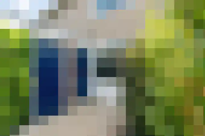 Fivelingo 124 Zoetermeer thumbnail 9