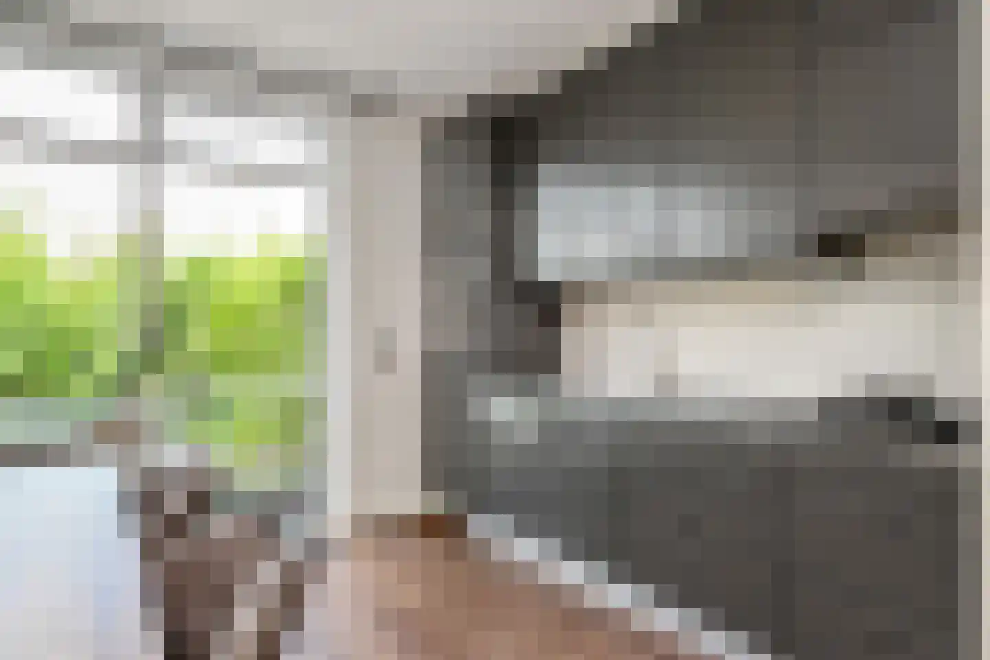 Fivelingo 209 Zoetermeer thumbnail 18