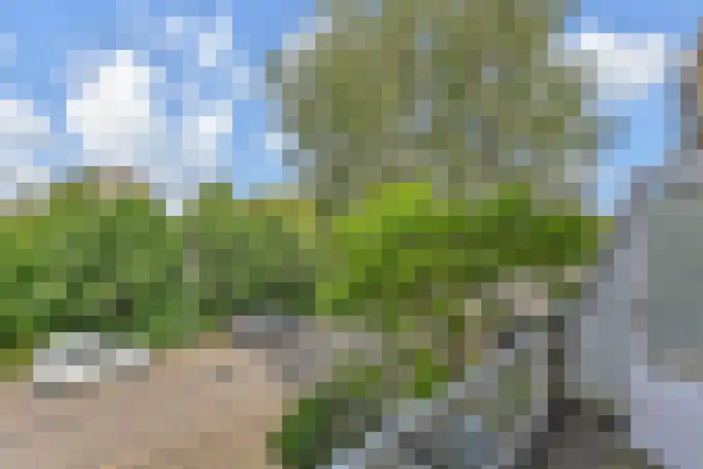 Fivelingo 209 Zoetermeer thumbnail 20