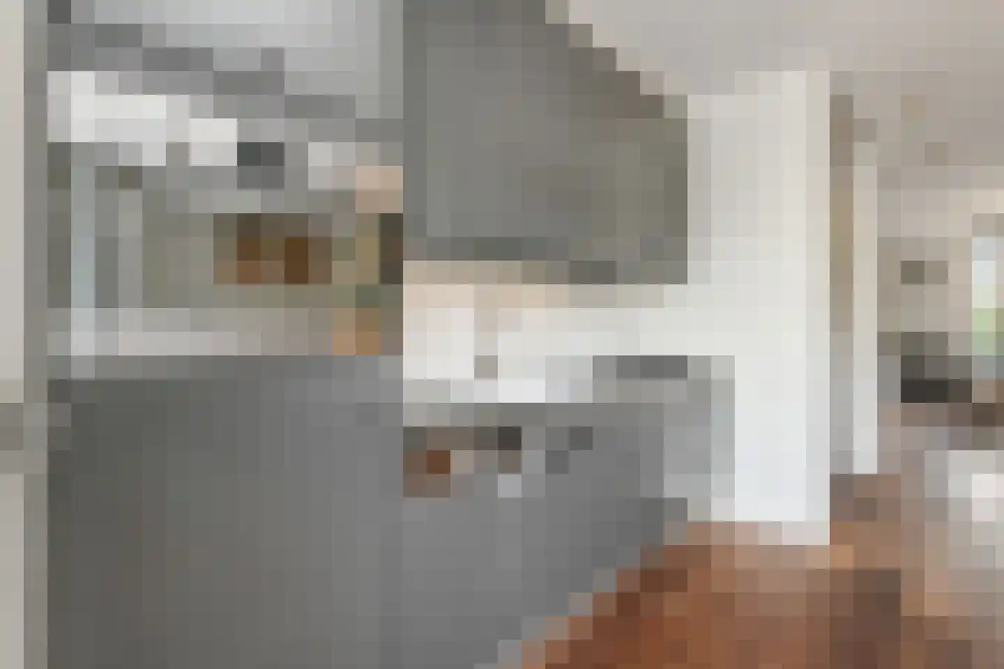 Fivelingo 209 Zoetermeer thumbnail 21