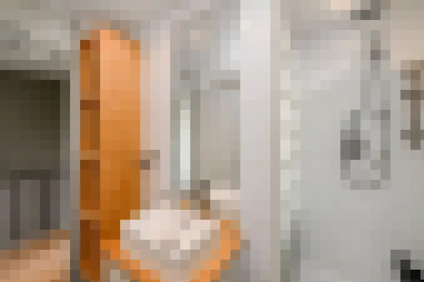 Fivelingo 209 Zoetermeer thumbnail 31