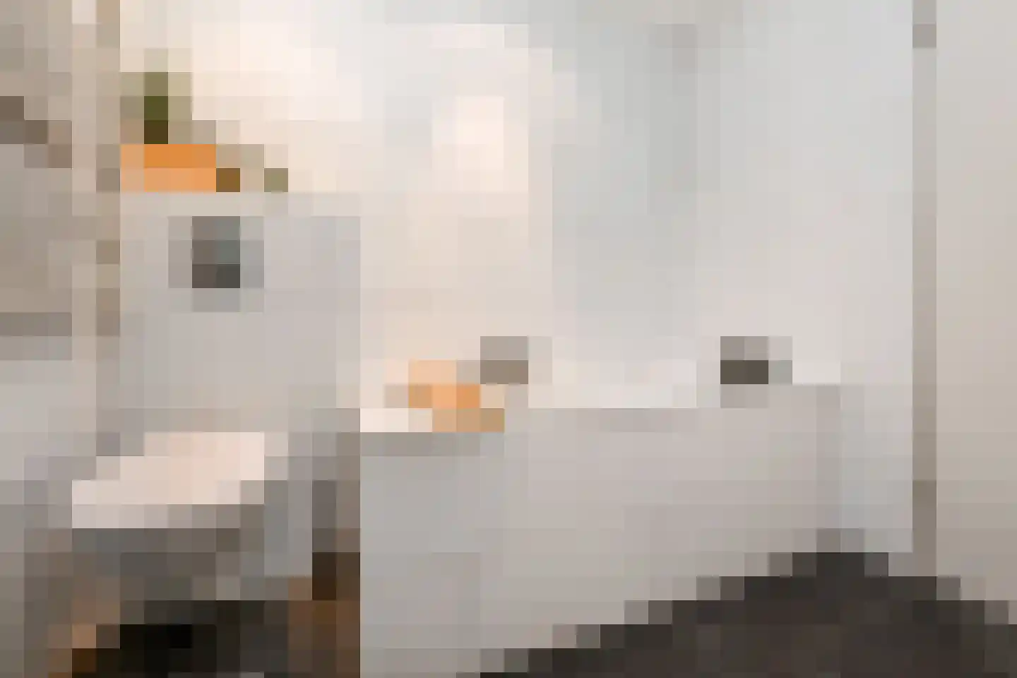 Fivelingo 209 Zoetermeer thumbnail 33