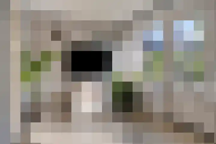 Fivelingo 225 Zoetermeer thumbnail 13