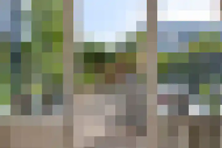 Fivelingo 225 Zoetermeer thumbnail 17