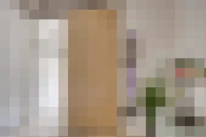 Fivelingo 225 Zoetermeer thumbnail 19