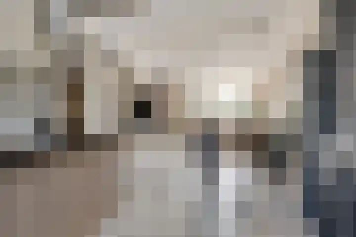 Fivelingo 225 Zoetermeer thumbnail 22