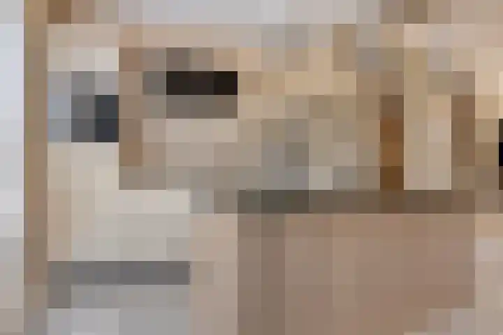 Fivelingo 225 Zoetermeer thumbnail 25