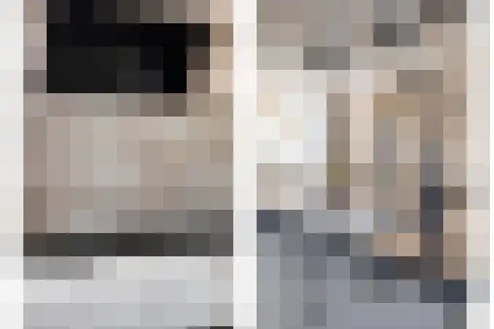 Fivelingo 225 Zoetermeer thumbnail 27