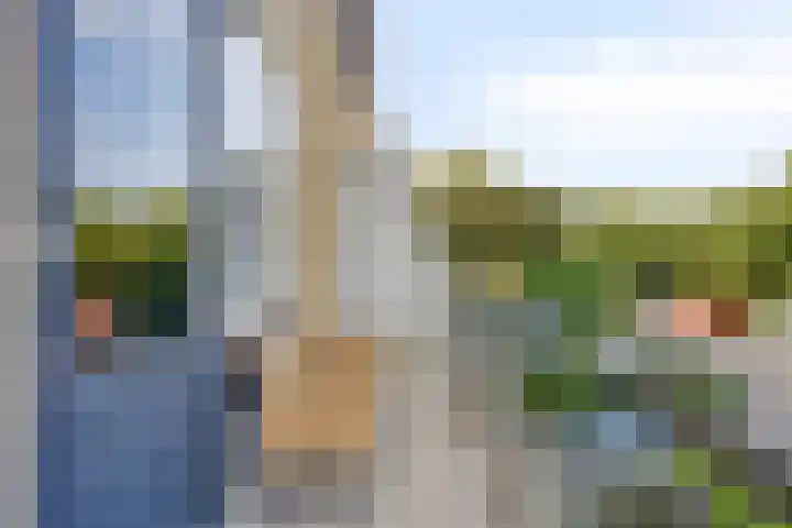 Fivelingo 225 Zoetermeer thumbnail 28